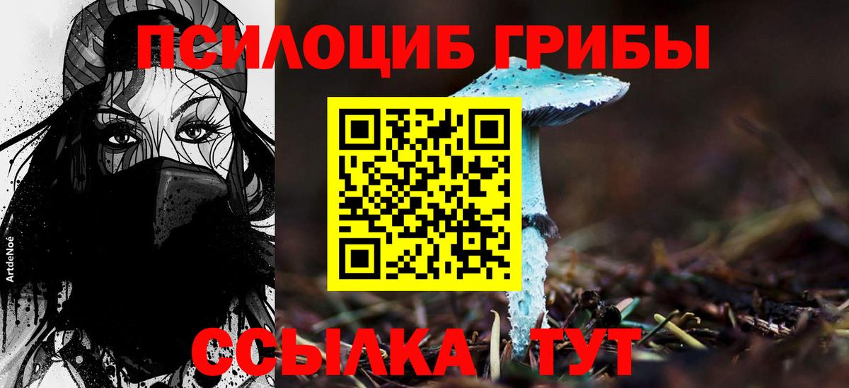 Псилоцибиновые грибы ЛСД Москва